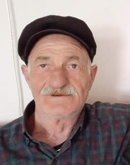 Dersim’de otomobilin çarptığı Kırbağ, hayatını kaybetti