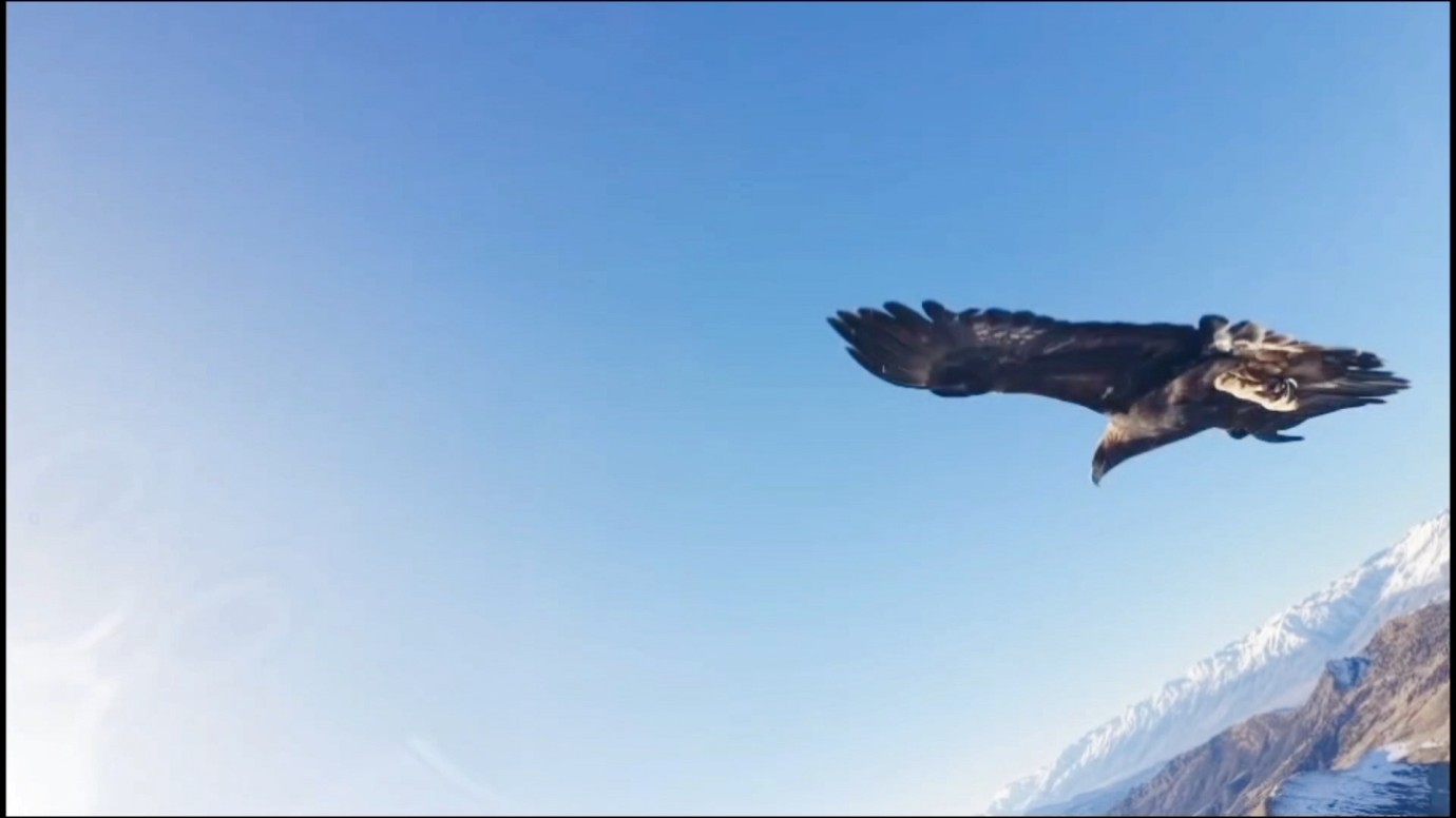 Kartal Dronu Havada Kaptı, Zirveye Bıraktı: 6 Saatlik Tırmanışla Geri Alındı