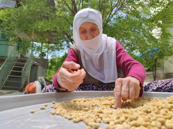 20 Yeni Ulukale Dut Bahçesi İçin İhale 18 Mayıs’ta