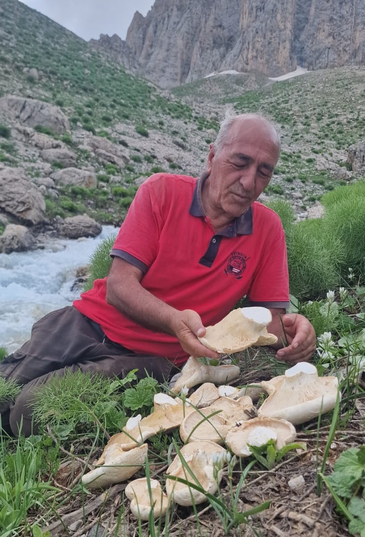 Doğa sevdalısı Utan’dan mantar şov!