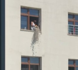 Ohhh, dök gitsin; ellerine sağlık!