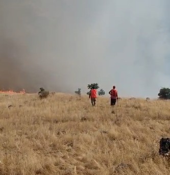 Nazımiye’deki yangına karadan ve havadan müdahale ediliyor