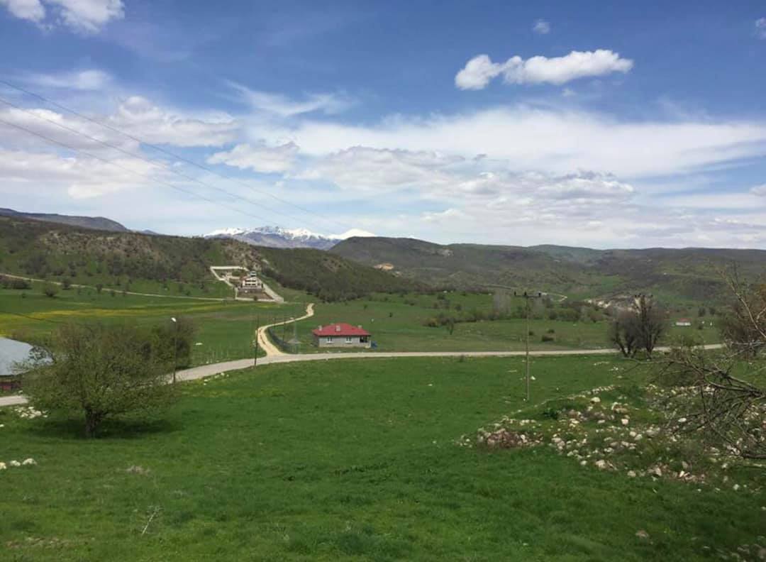 Mazgirt’te kuduz karantinası