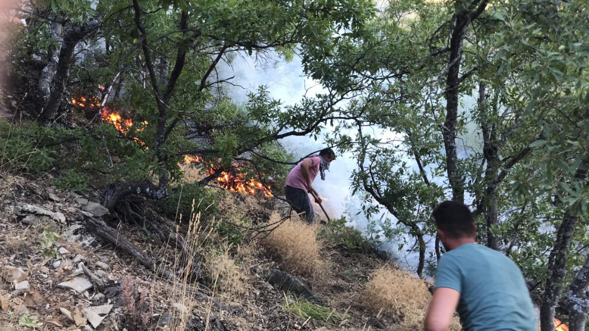 Dersim'de örtü yangını kontrol altına alındı