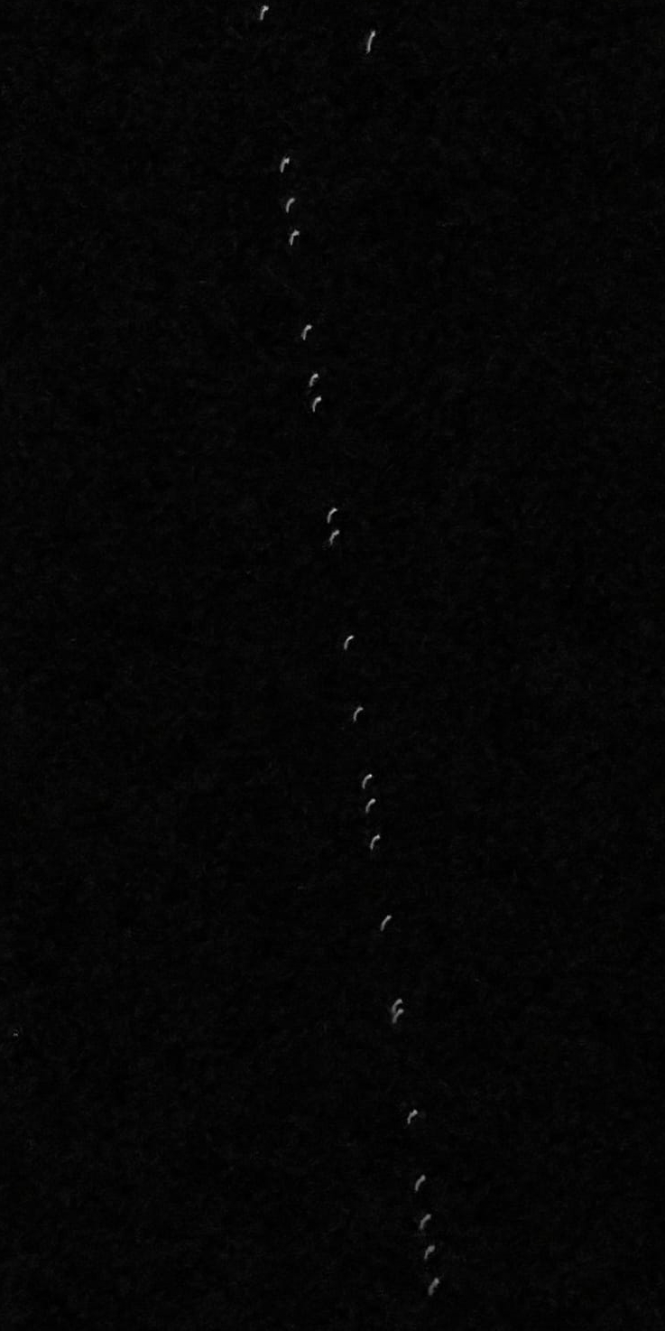 Starlink uyduları, Dersim semalarında fotoğraflandı
