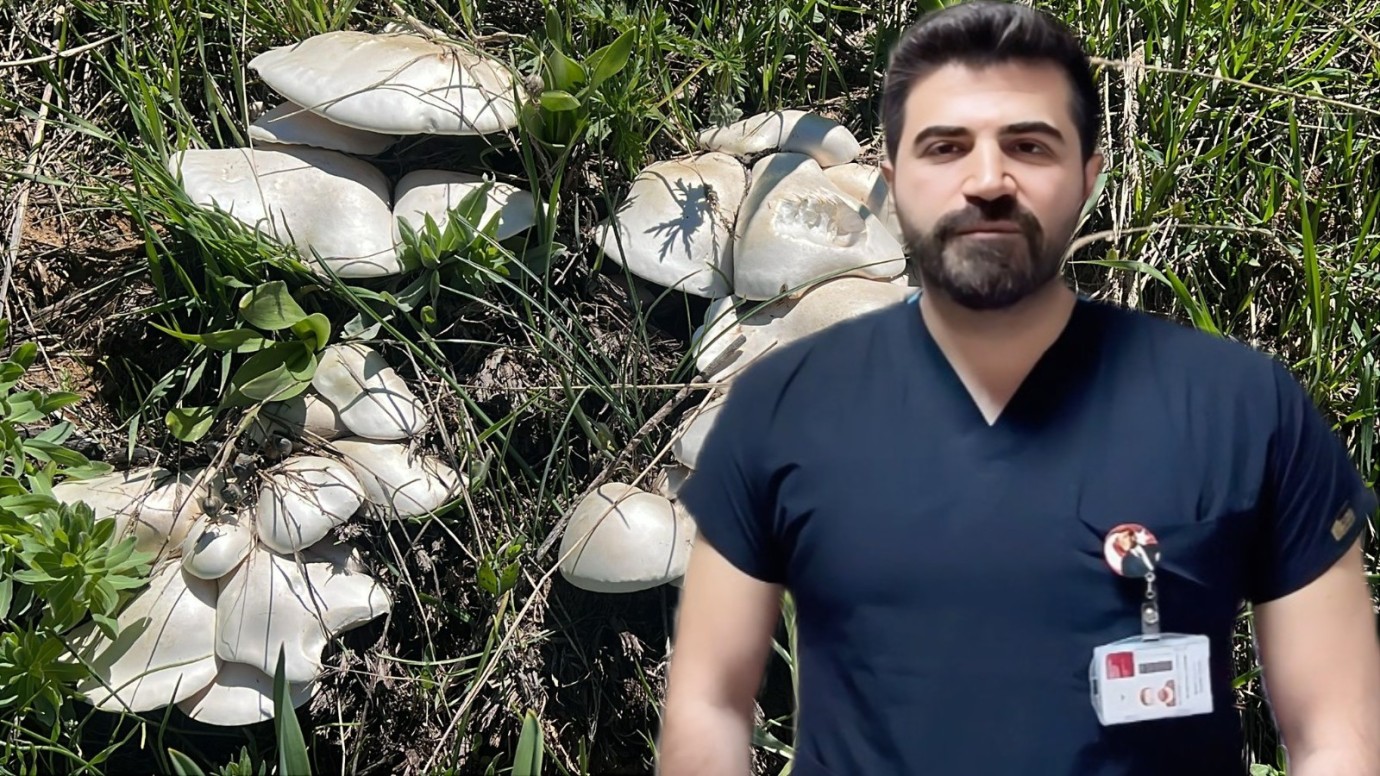 Uzman Dr. Gürhan: “Hiçbir mantarın lezzeti, insan hayatından daha değerli değildir”