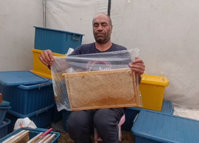 Coğrafi işaretli balımızda sağım zamanı