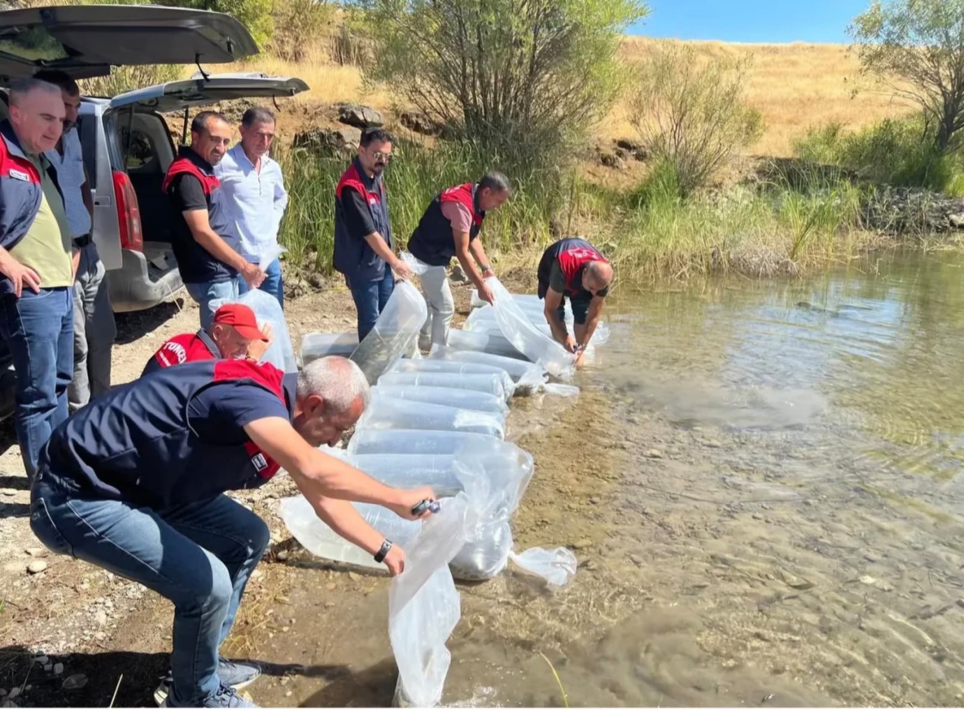İç Sular, 450 Bin Sazan Yavrusu ile Balıklandırıldı