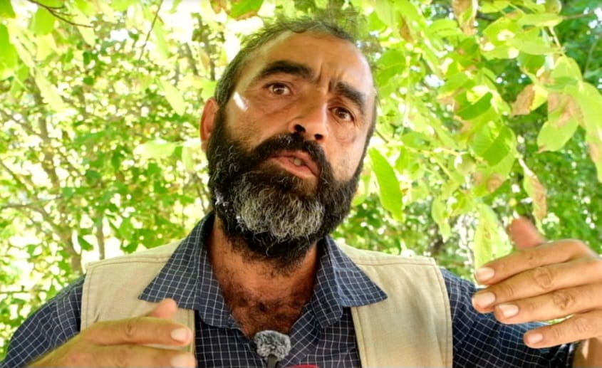 Üreticilerin ayılarla başı dertte: “Can ve mal güvenliğimiz yok!”
