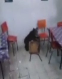 Haber videoları