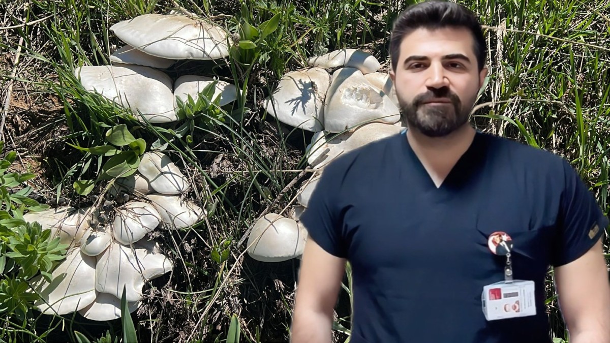 Uzman Dr. Gürhan: “Hiçbir mantarın lezzeti, insan hayatından daha değerli değildir”