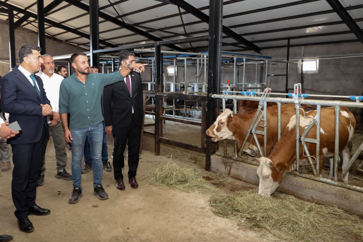60 Büyükbaş Süt Hayvanı Kapasiteli Modern Üretim Tesisi Üretime Katkı Sunuyor