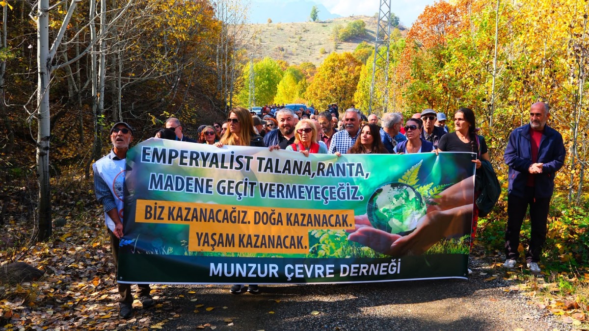 Salördek Ormanları’nda protesto: “Bu yenileme değil, Pülümür Vadisi’nin talan edilmesidir”