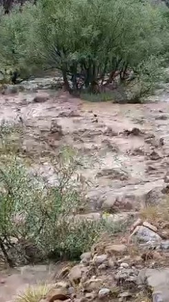 Sağanak yağış dereleri taşırdı